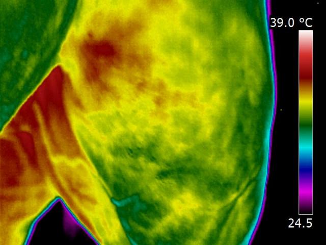 IR_1250.jpg